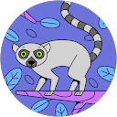 Thomas M. profile picture